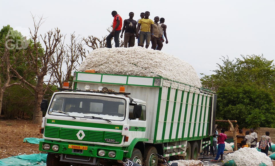 Taxe sur camions chargés de coton graine